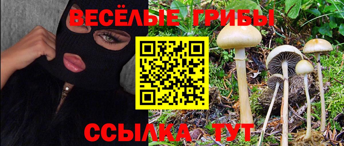 Радужный  Галлюциногенные грибы мухоморы  Вход с VPN 